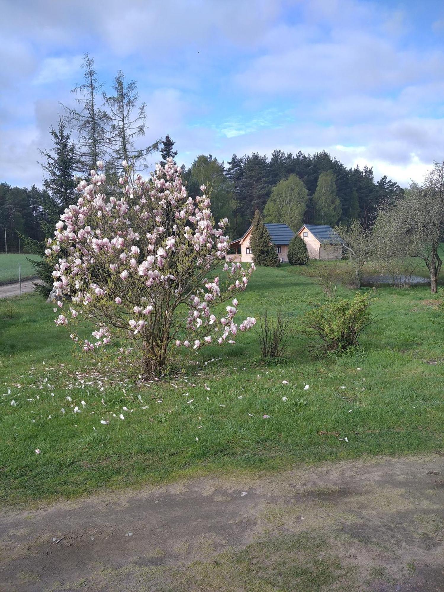 Villa Wczasy Na Kaszubach Gorki  Exterior foto